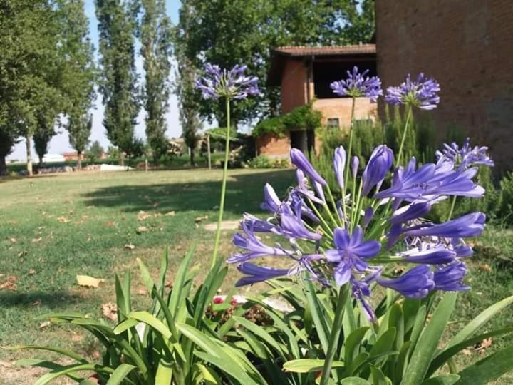 B&B Il Naviglio Di Antonelli Fabio Bastiglia Exterior foto